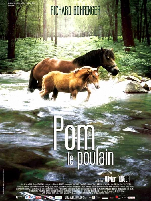 Pom le poulain - Benjamin Caillaud - Ingénieur du son Musique film Jeu vidéo Music