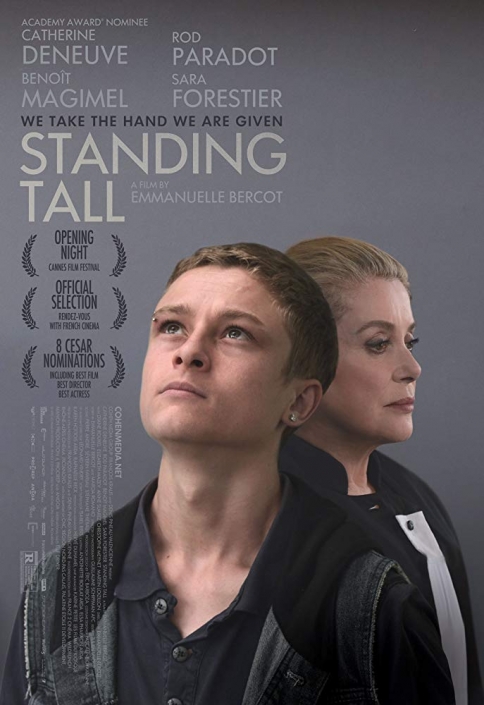 Standing tall - Benjamin Caillaud - Ingénieur du son Musique film Jeu vidéo Music